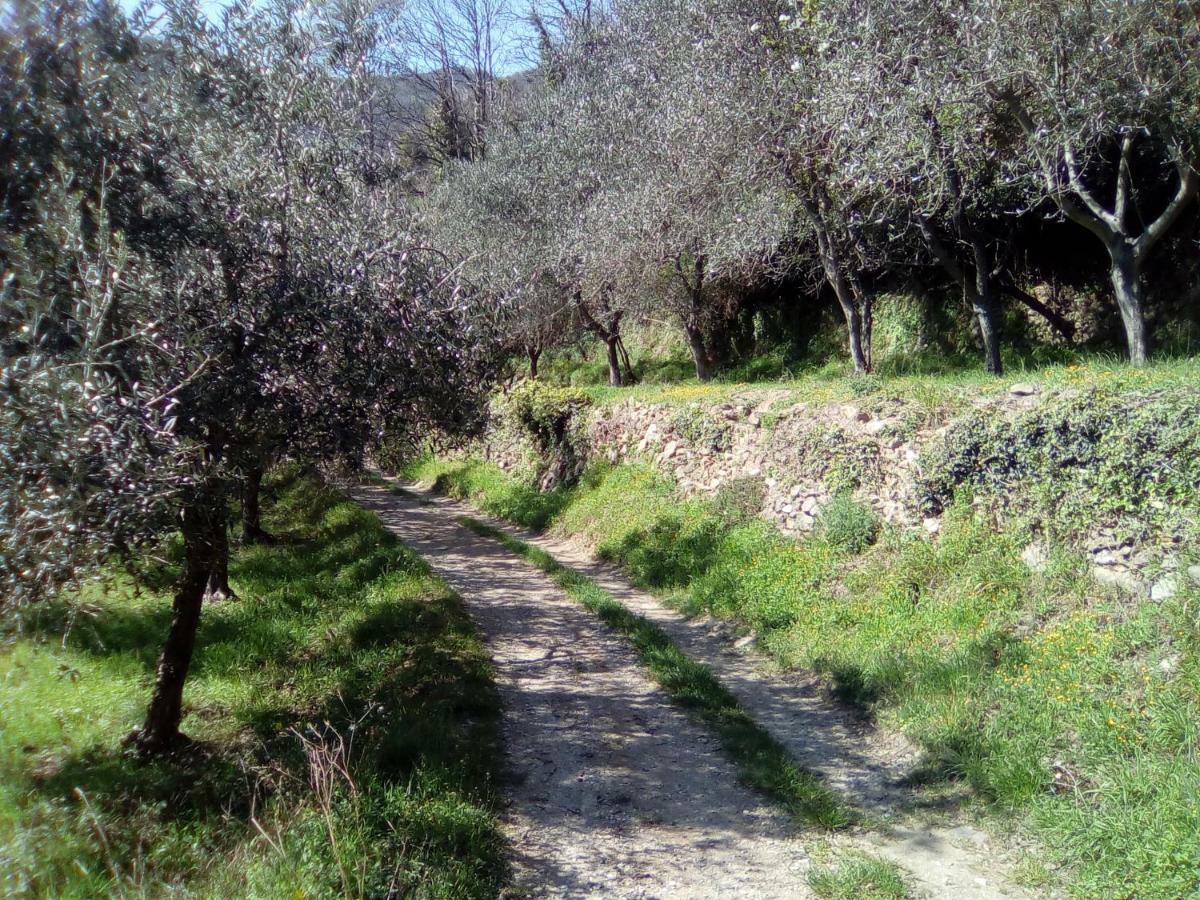 דירות ואדו-ליגורה Contrada Casa Vacanze מראה חיצוני תמונה